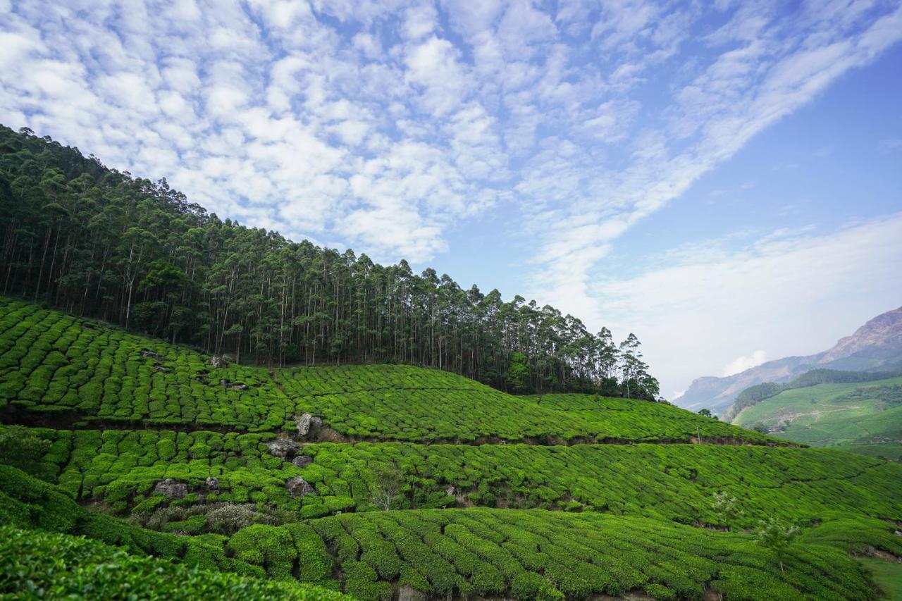 Tea Valley Resort, Munnar Extérieur photo