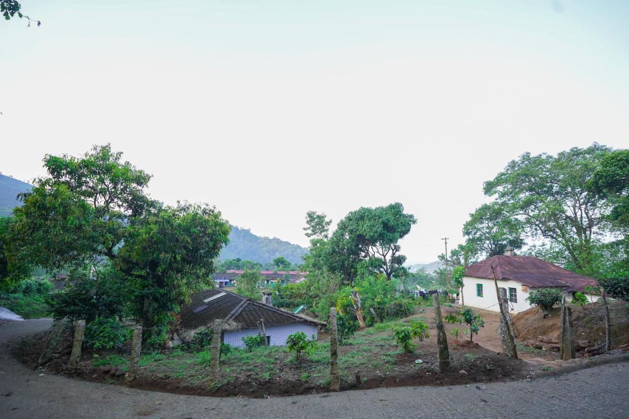 Tea Valley Resort, Munnar Extérieur photo