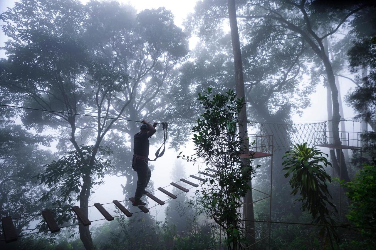 Tea Valley Resort, Munnar Extérieur photo