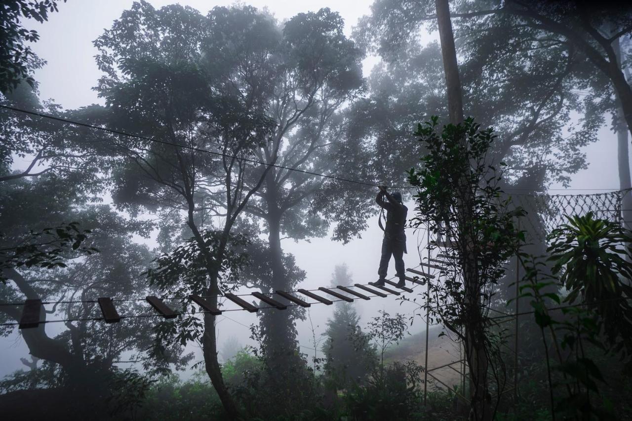 Tea Valley Resort, Munnar Extérieur photo