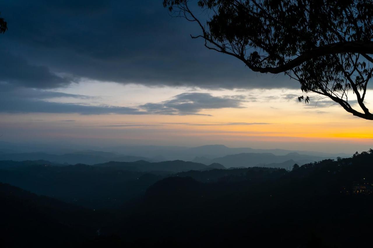 Tea Valley Resort, Munnar Extérieur photo
